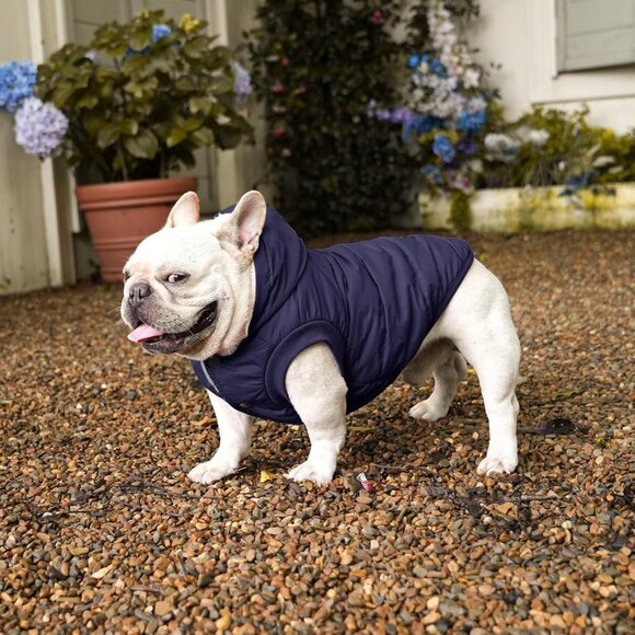 Vecomfy Winter Dog Jacket with Fleece Lining – Size Medium - Picture 4 of 4